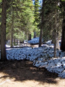 Lingering patches of snow up high - taken before recent storm
