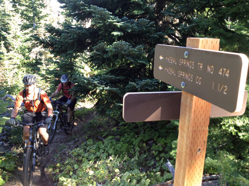 Sweet new trail signs!