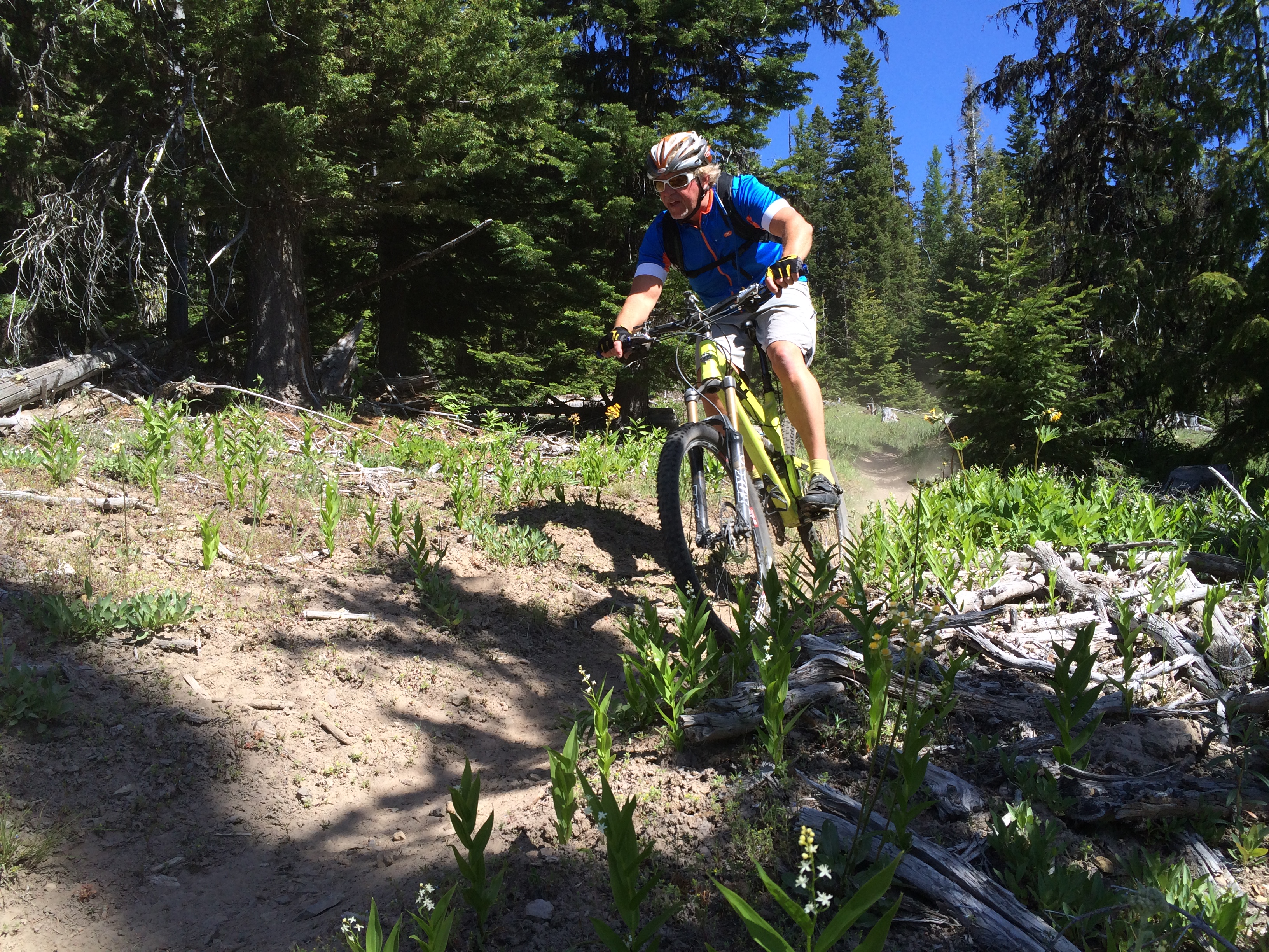 mt hood downhill mountain biking