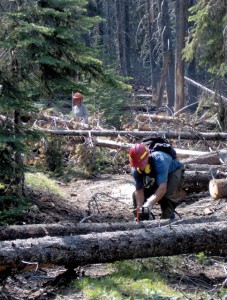 Trail work 44 mt hood national forest
