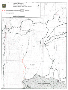 Cooks Meadows Trail Expansion Project