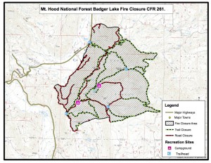 Badger lake Fire map