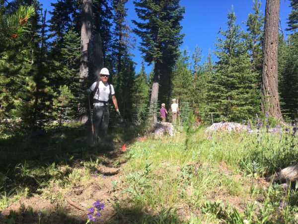 Surveyor's Ridge Trail