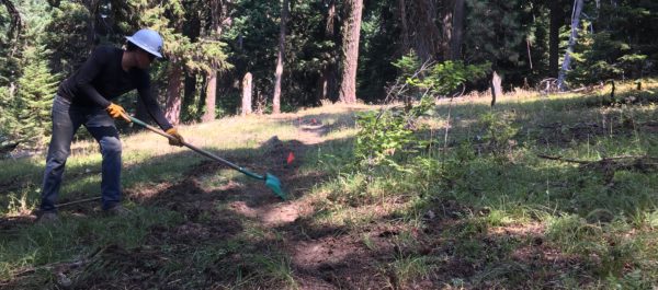 Surveyor's Ridge Work day