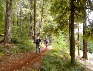 timothy lake mountain bike trails