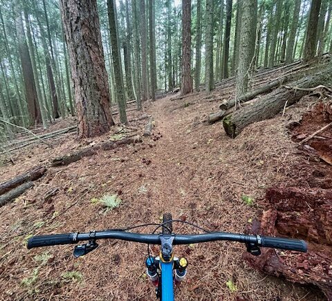 8-mile trail 44 trails
