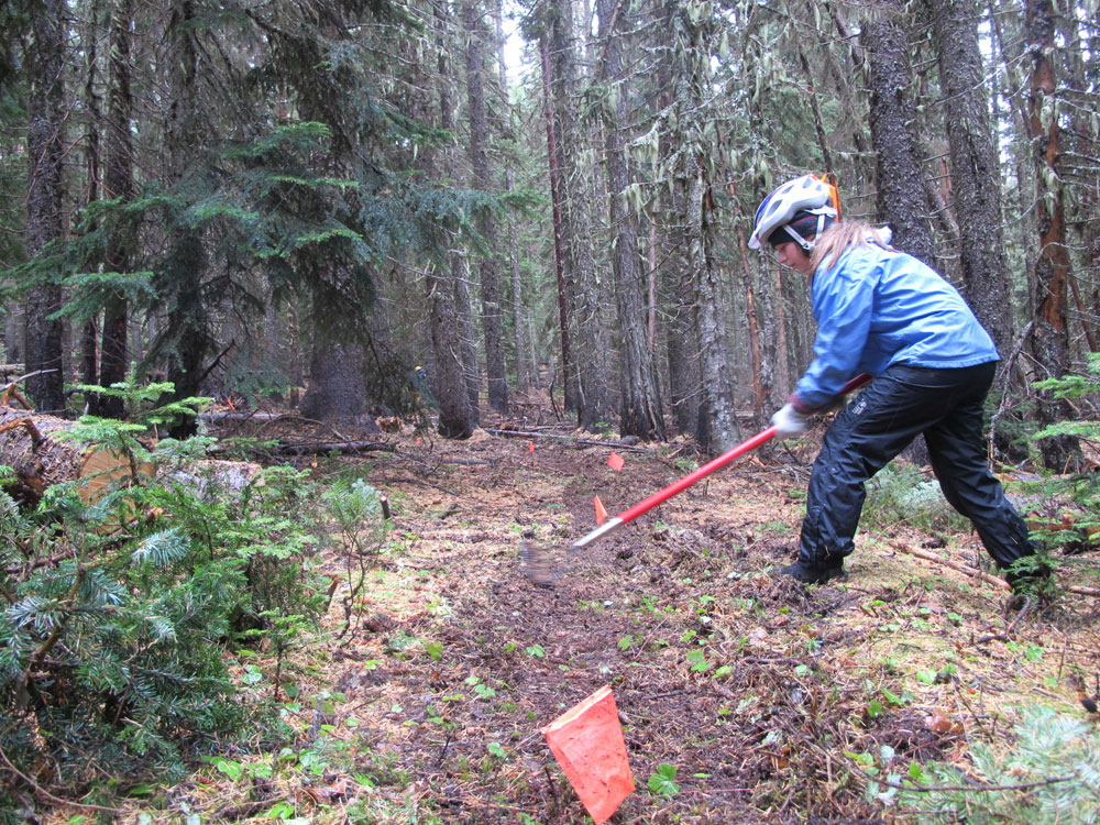 44 Trails cooks meadow trail work