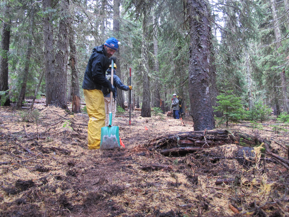 44 Trails cooks meadow trail work