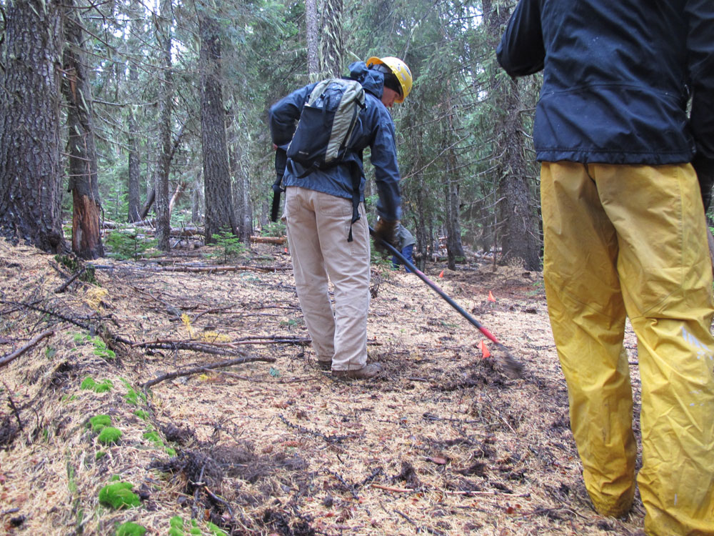 44 Trails cooks meadow trail work