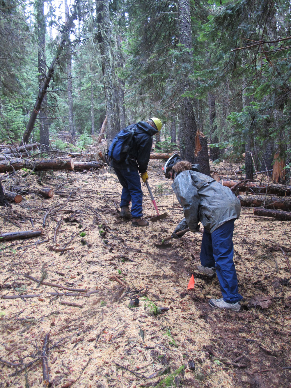 44 Trails cooks meadow trail work