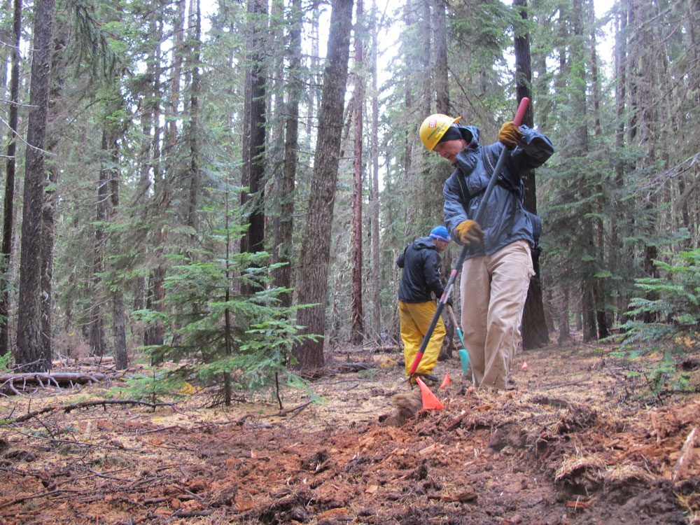 44 Trails cooks meadow trail work