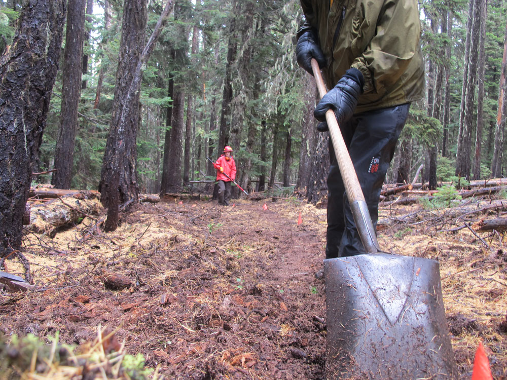 44 Trails cooks meadow trail work