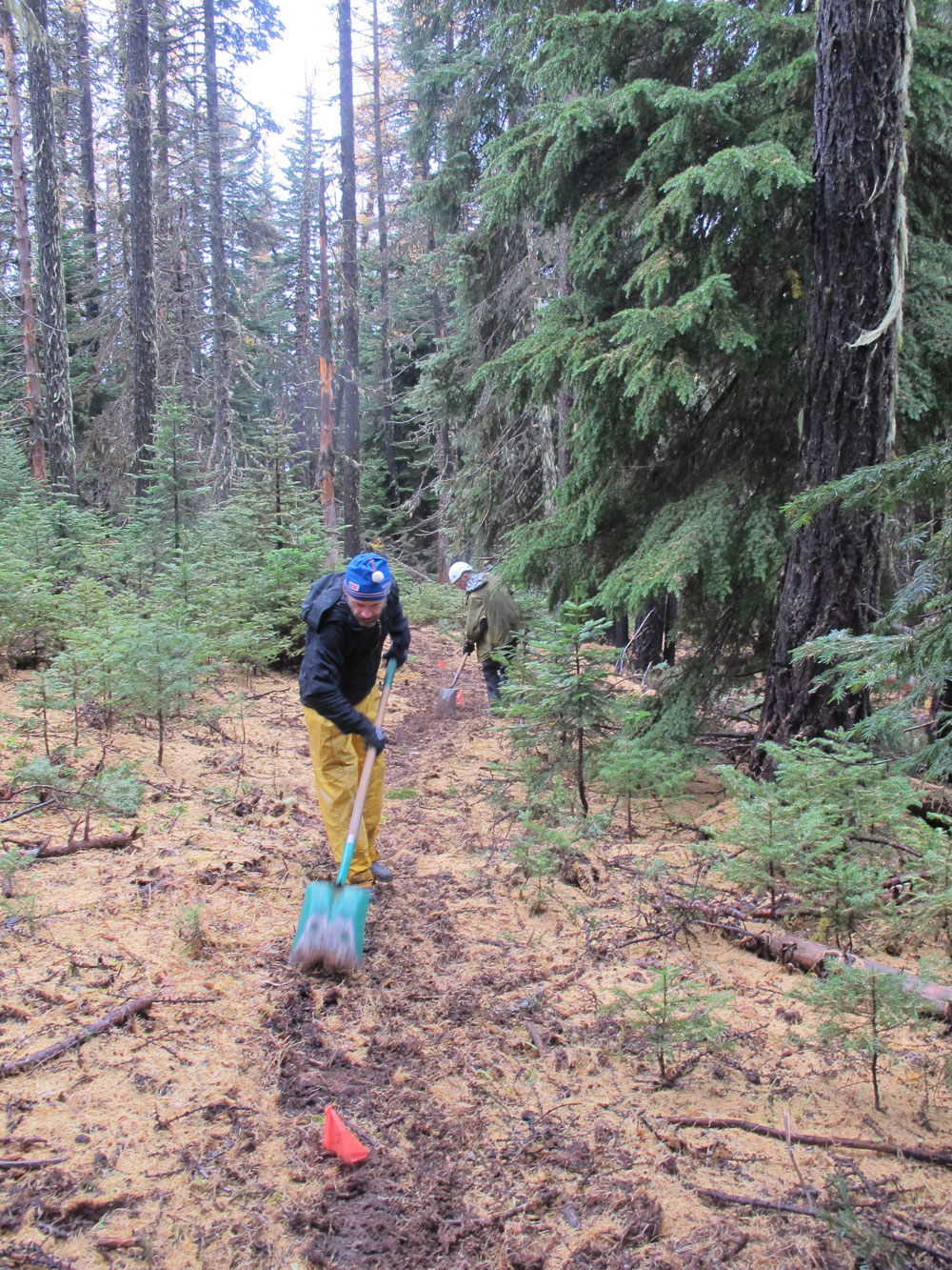 44 Trails cooks meadow trail work