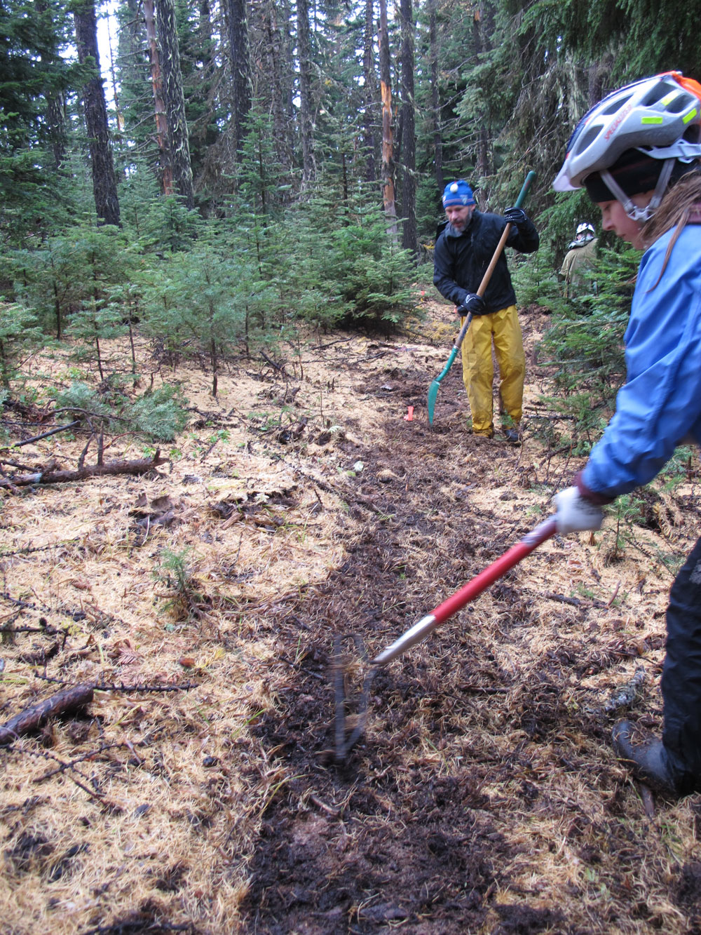 44 Trails cooks meadow trail work