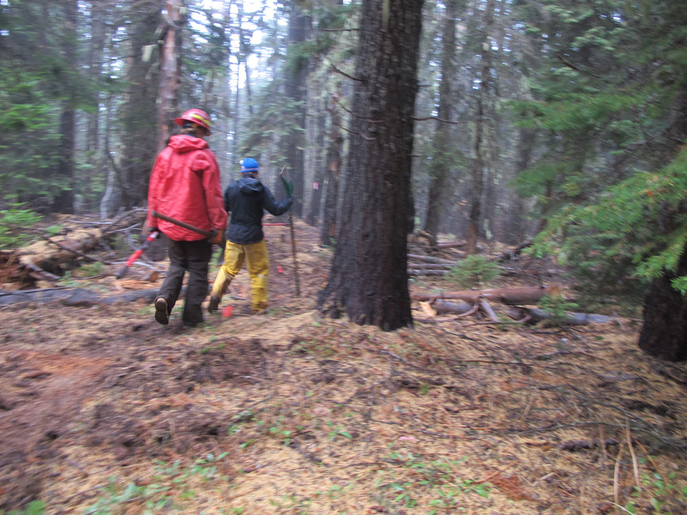 44 Trails cooks meadow trail work