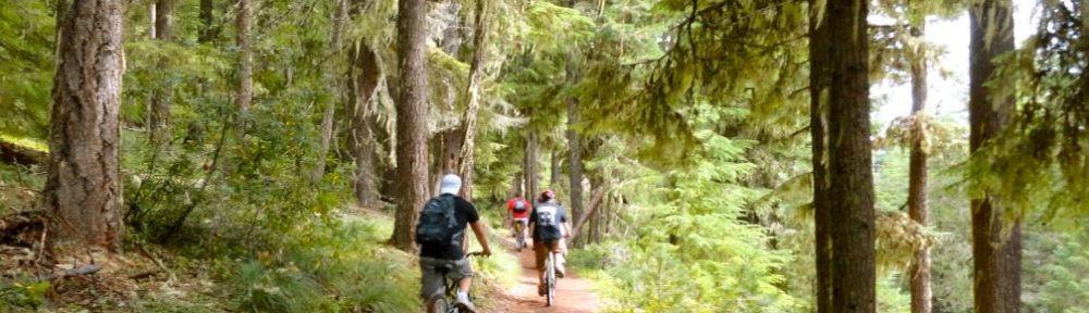 timothy lake mountain bike trails