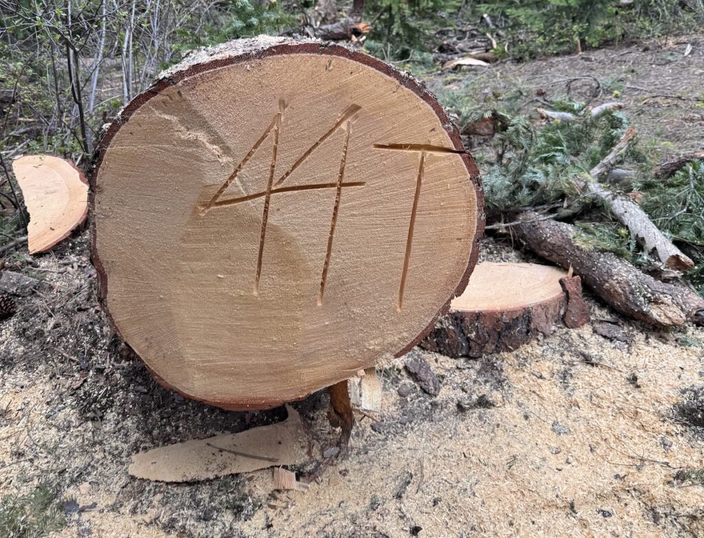 44 Trails Logout